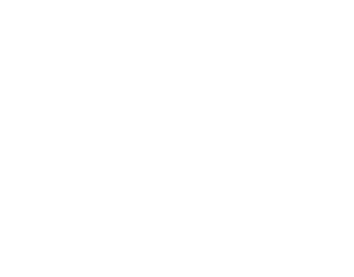 Mystery Hunters